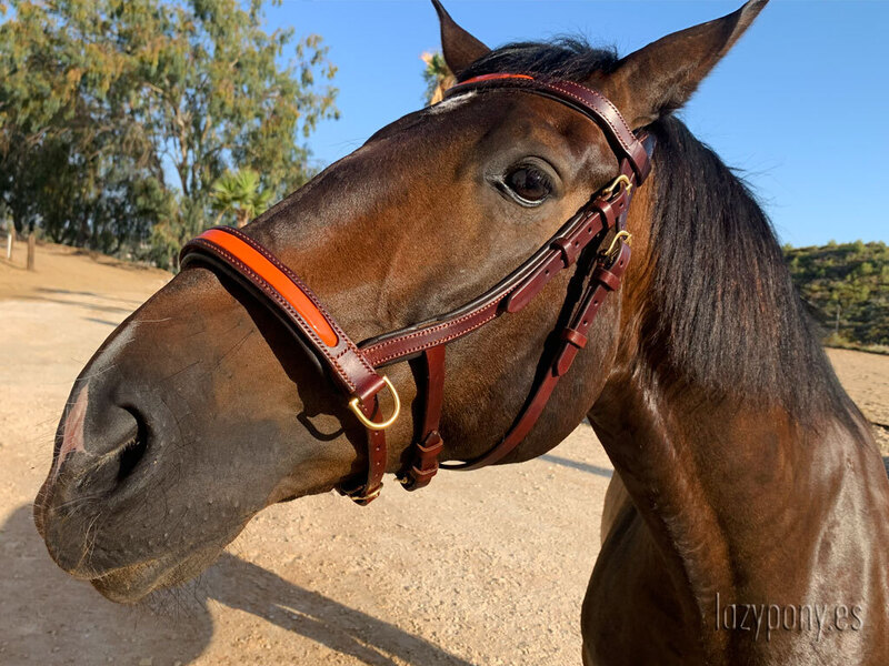  Leather sidepull Lazypony