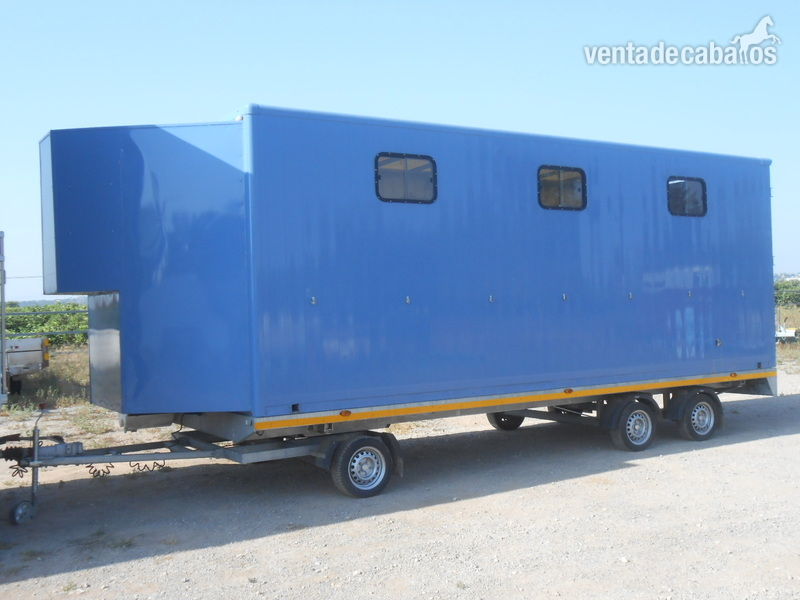 Remolque Profesional para Transporte de 4 Caballos in 