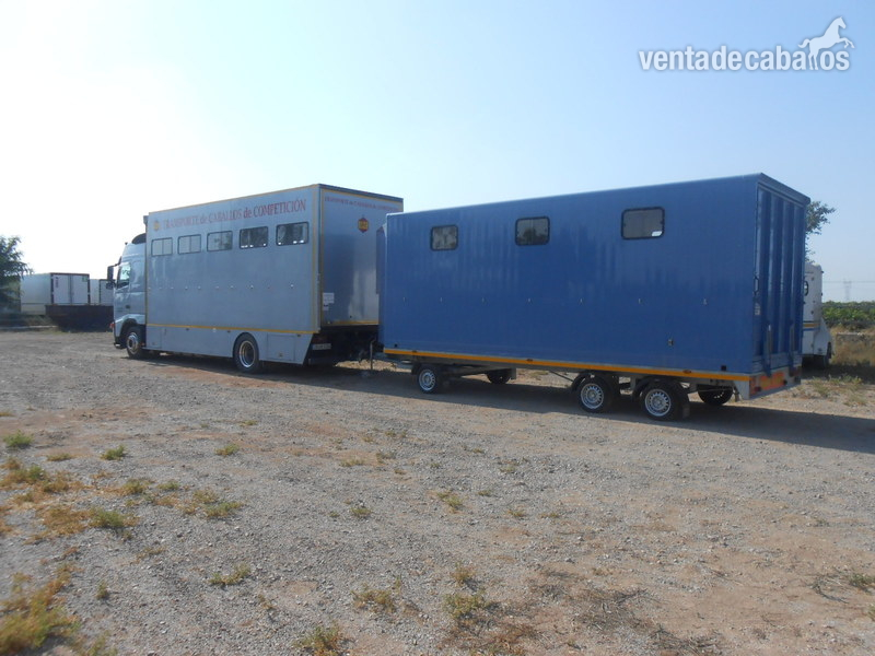 Remolque Profesional para Transporte de 4 Caballos