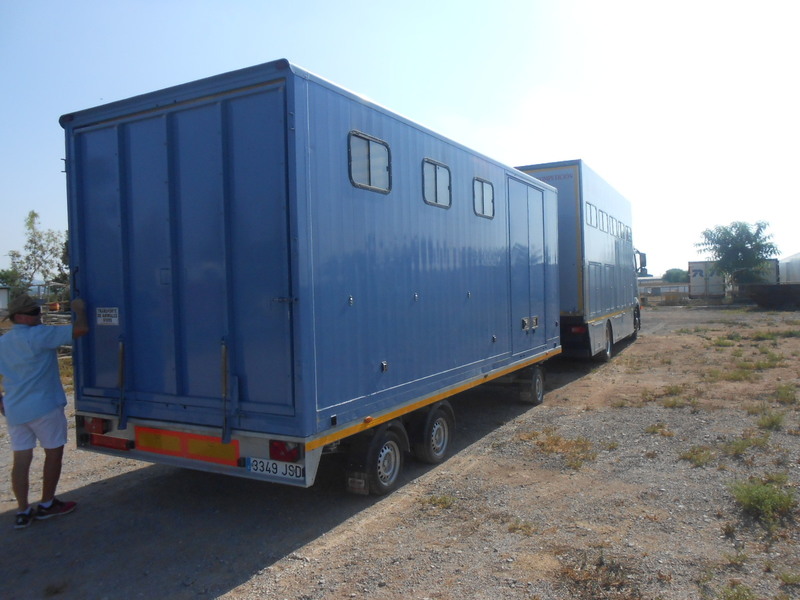  Remolque Profesional para Transporte de 4 Caballos