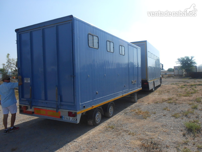  Remolque Profesional para Transporte de 4 Caballos