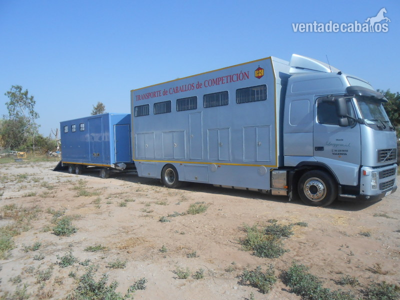 Remolque Profesional para Transporte de 4 Caballos - Remolques de caballos in 