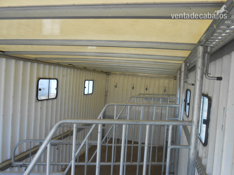 Remolque Profesional para Transporte de 4 Caballos 