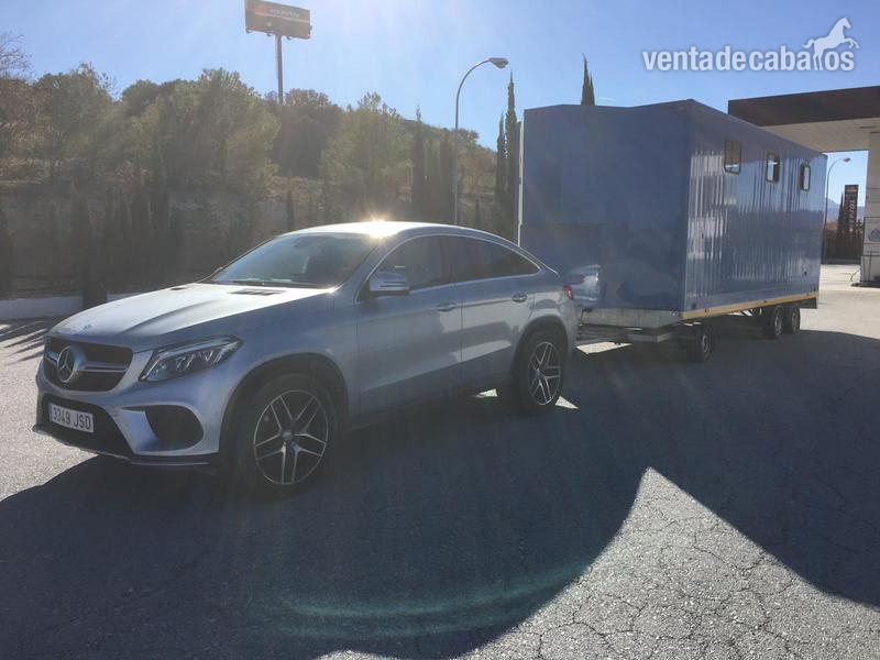 Remolques de caballos - Remolque Profesional para Transporte de 4 Caballos