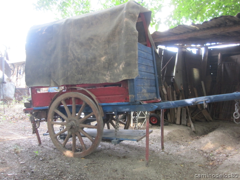 CARRO DE VARAS