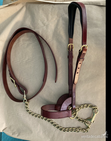 Cabezadas de presentación Lazypony\ Plain show halter for horses in 