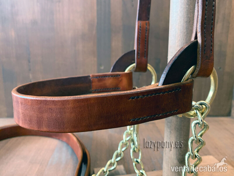  Cabezadas de presentación Lazypony\ Plain show halter for horses