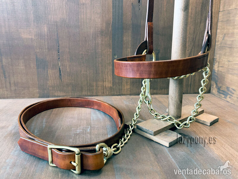 Cabezadas de presentación Lazypony\ Plain show halter for horses - Artículos de hípica in 