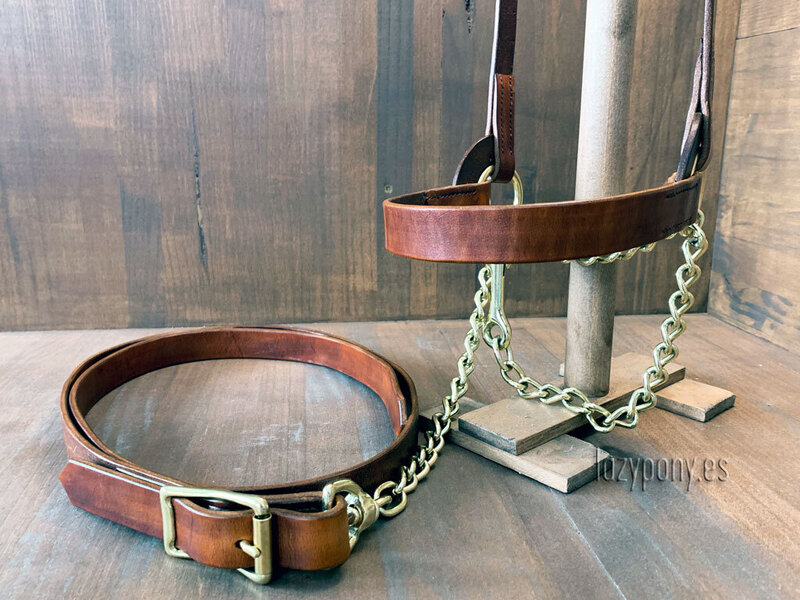 Cabezadas de presentación Lazypony\ Plain show halter for horses - Artículos de hípica in 