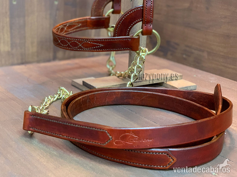 Cabezadas de presentación Lazypony\ Plain show halter for horses - Artículos de hípica