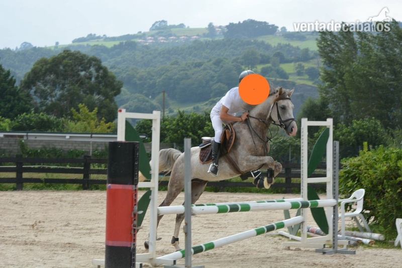 Oportunidad Poni/pony D in 