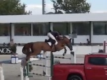 CABALLO DE SALTO 