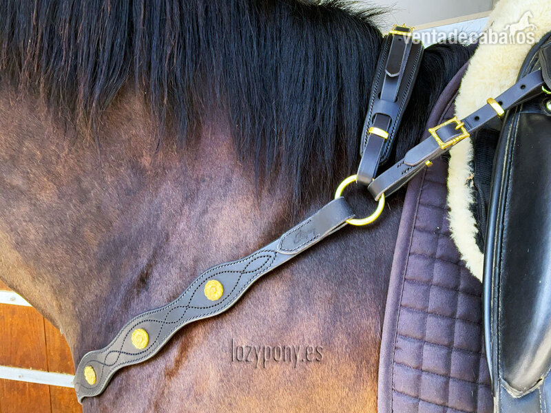 Portuguese Breastplate Lazypony 