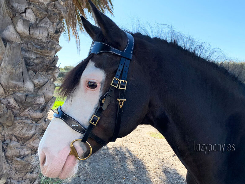  Celtic horse bridle Lazypony