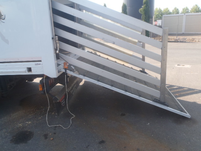 RENAULT 220DXI MIDLUM - Transportes de caballos