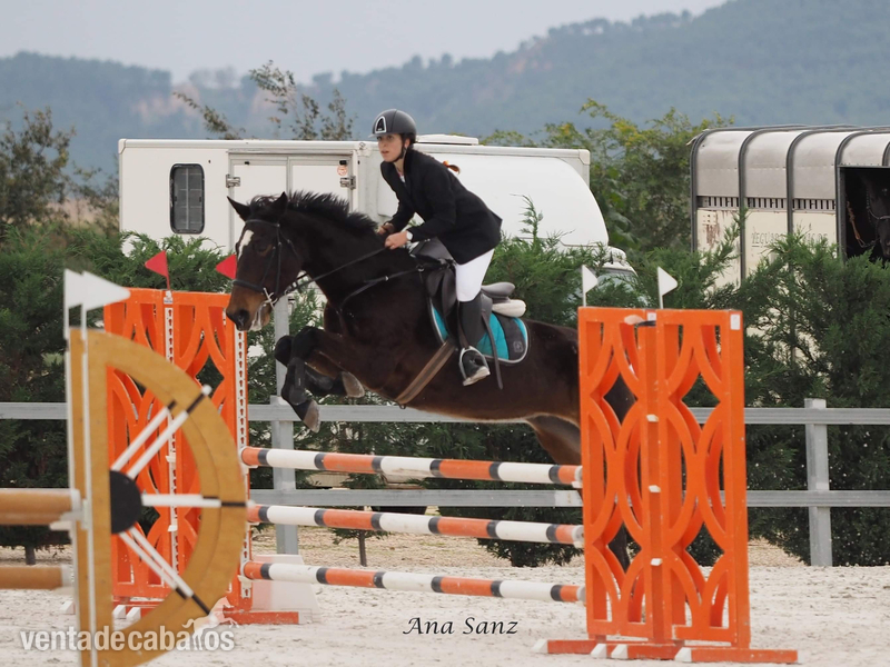 Cruzado {TYPE}