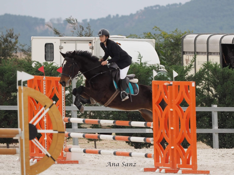 Cruzado {TYPE}