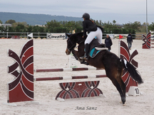 Se vende yegua de salto