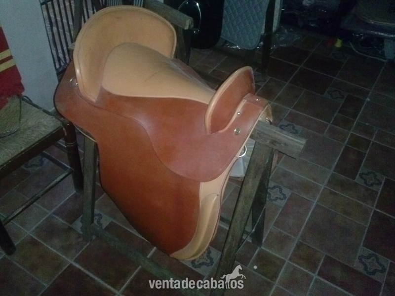 Montura Española in 