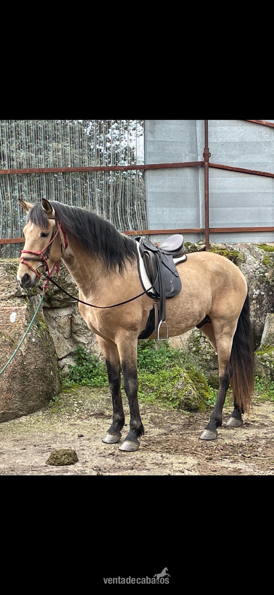 EMPTY
