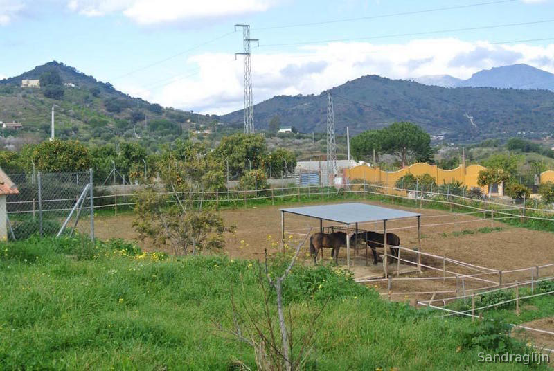 Coín Gran Cortijo Contemporaneo
