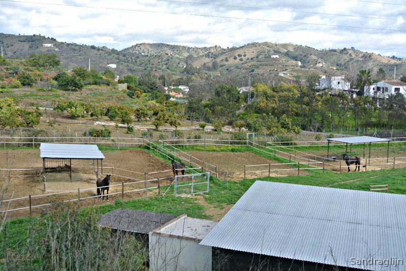 Gran Cortijo Contemporaneo - Finca ecuestre in Coín