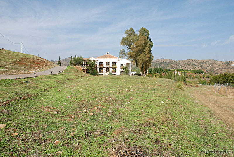 Finca ecuestre - Gran Cortijo Contemporaneo