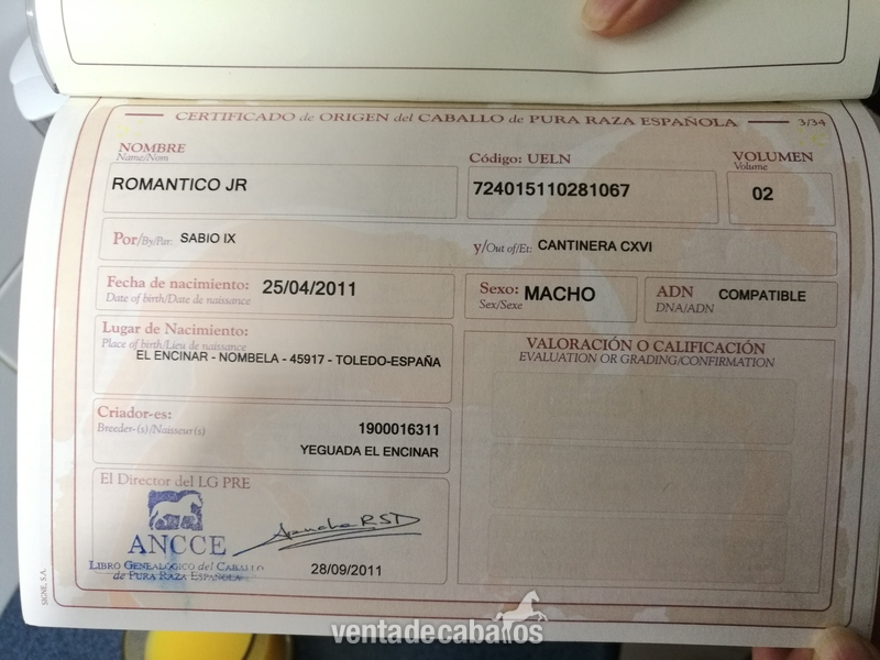 MAGNIFICO PRE 7 AÑOS (DOMA ALTA ESCUELA)