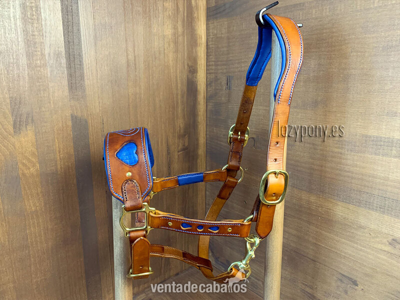 Anatomic leather halter Heart Lazypony in 