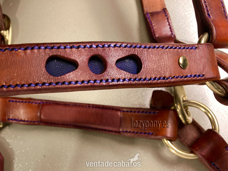Anatomic leather halter Heart Lazypony