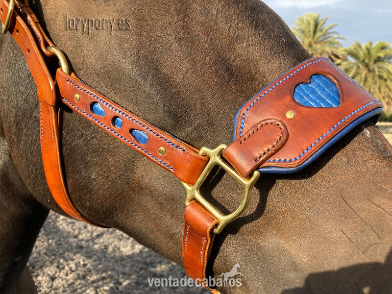 Anatomic leather halter Heart Lazypony 