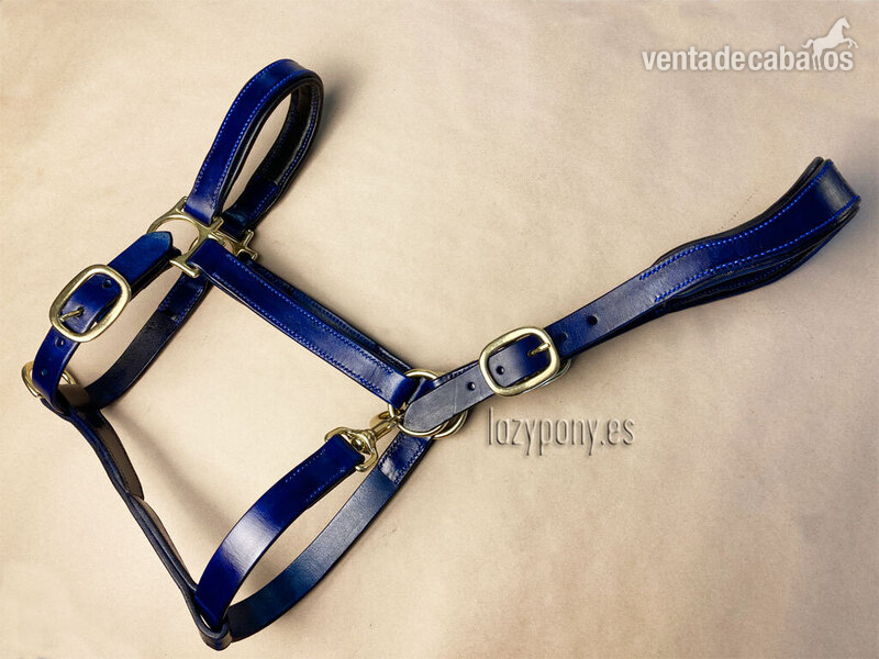 Anatomic leather horse halter Lazypony