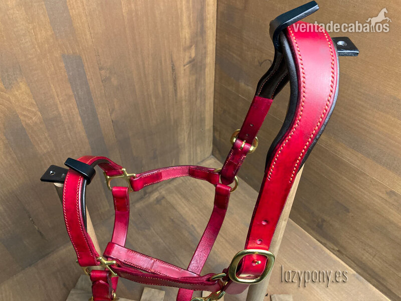 Anatomic leather horse halter Lazypony - Artículos de hípica in 