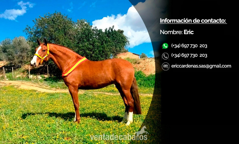 Campeona de Cataluña y Sub-Campeona de Europa en Movimientos in 