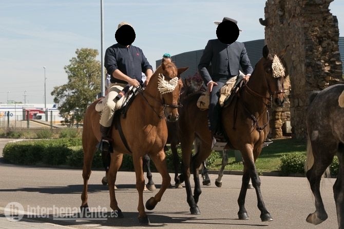 Pura Raza Española