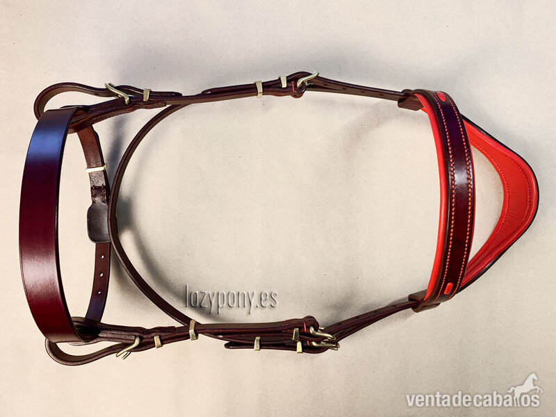 Handcrafted horse bridle Ranger in 