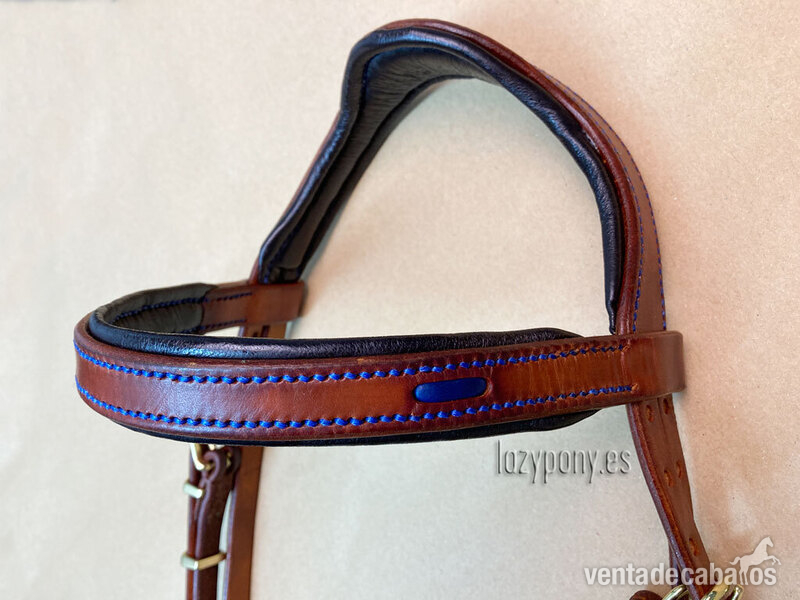 Handcrafted horse bridle Ranger