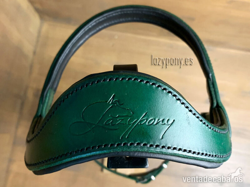  Handcrafted horse bridle Ranger