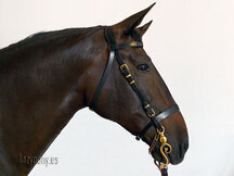 Handcrafted horse bridle Ranger