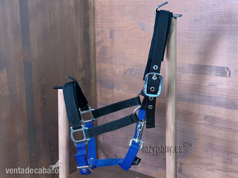 Padded nylon horse halter Lazypony