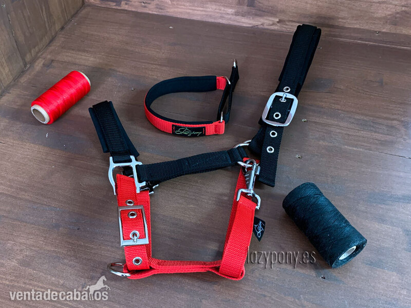  Padded nylon horse halter Lazypony