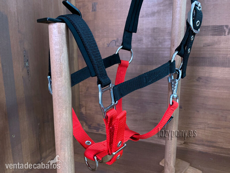 Padded nylon horse halter Lazypony 