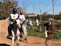 ÁRABES (PRA) y angloárabes potros, yeguas y caballos DE RAID, CRÍA O SHOW clasificados en 40, 60, 80, 80* y CEI*