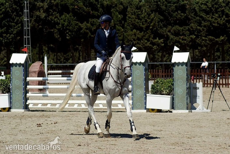CDE SALTO OBSTACULOS1 in 