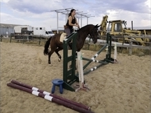 YEGUA DE DEPORTE