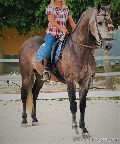 Pura Raza Española