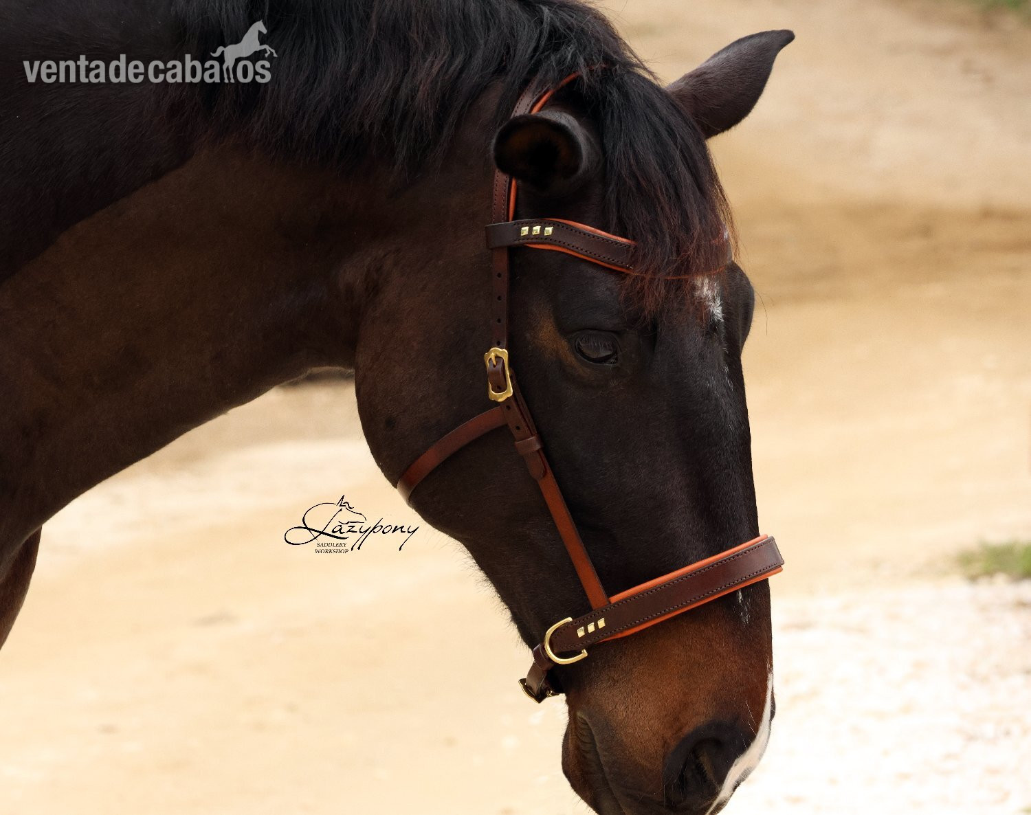 Cabezada sidepull clásica Lazypony / Leather sidepull bitless Lazypony 