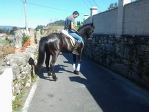 se vende yegua pre