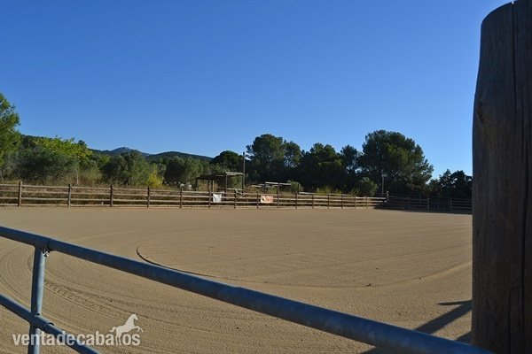 Negocio hípico en venta con vivienda in Valls