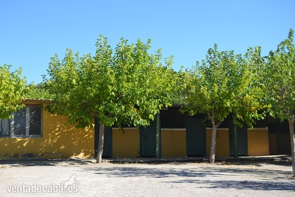Negocio hípico en venta con vivienda